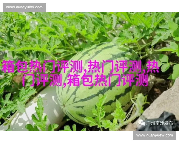 围绕排名规则优化策略与提升路径的系统性分析与实践指南 围绕排名规则优化策略与提升路径的系统性分析与实践指南